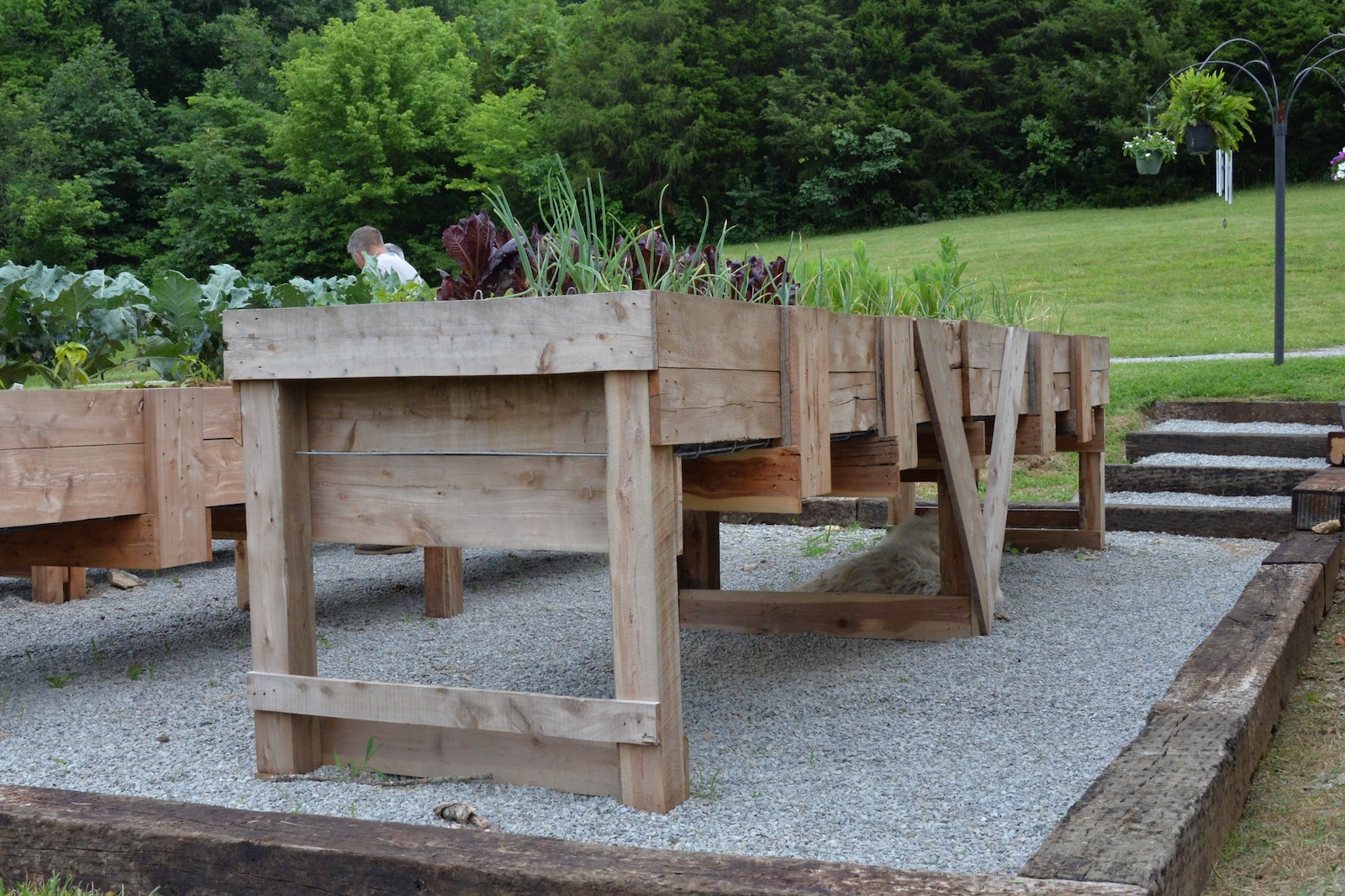 3 1/3 ft x 16 ft raised bed angle view.